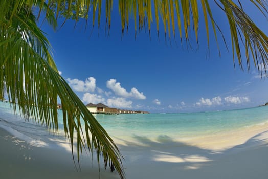 tropical beach nature landscape scene with white sand at summer