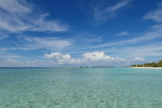 tropical beach nature landscape with white sand at summer