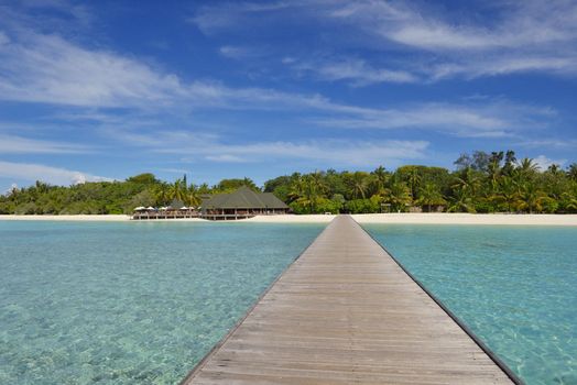 tropical beach nature landscape with white sand at summer