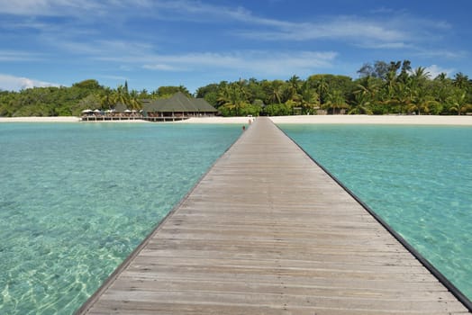 tropical beach nature landscape scene with white sand at summer