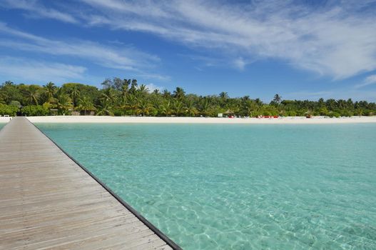 tropical beach nature landscape scene with white sand at summer