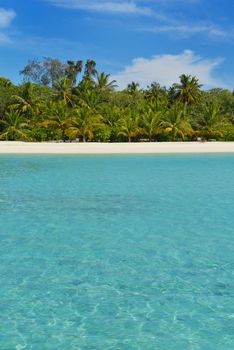 tropical beach nature landscape with white sand at summer