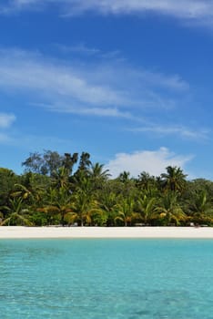 tropical beach nature landscape scene with white sand at summer