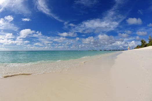 tropical beach nature landscape scene with white sand at summer