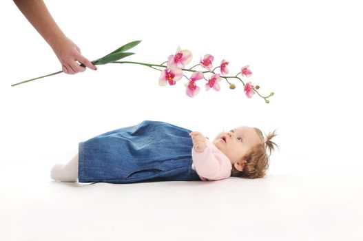 one happy  baby child isolated on white background with flower