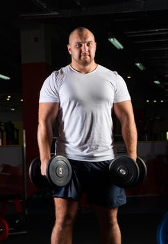 Male bodybuilder engaged with dumbbells in the gym. Healthy lifestyle