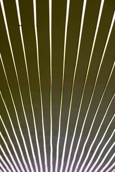 Diode strip.close up of led lights tape set on the ceiling  at new luxury apartment