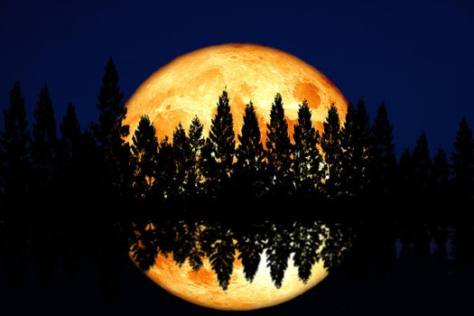 reflection super corn planting blood moon rise back top pine clear cloud on the night sky