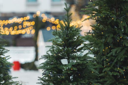 christmas trees on the background of yellow lanterns, holidays
