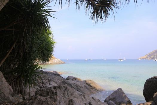 Exotic landscape with palms, ocean and ships in background. Concept of tropical Thailand wallpapers.