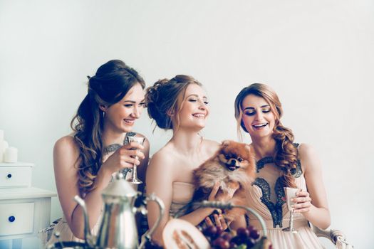 close up. the bride with her friends and beloved pet during the bachelorette party