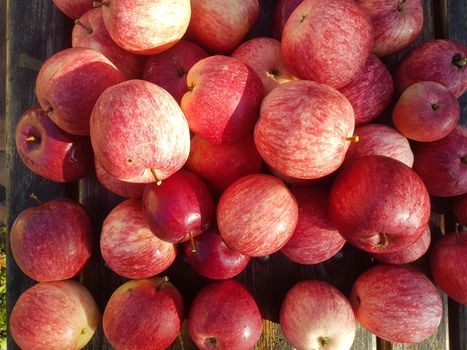 lots of red apples on the wooden table