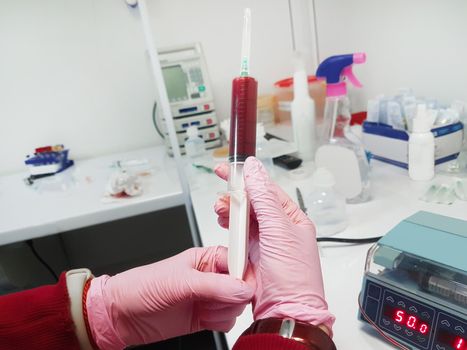 close up. the veterinarian performing the procedure of blood transfusion