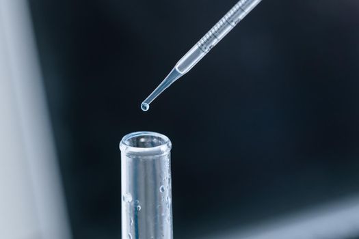 close up. scientist in a glove fills test tubes with a pipette . photo with a copy-space.