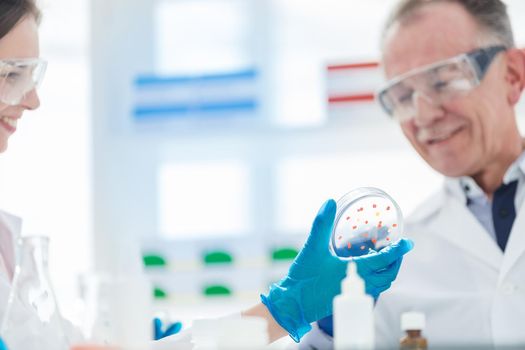 close up. Petri dish in the hand of researchers. science and health protection.