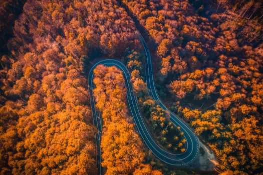 Aerial view of Transfagarasan road at autumn forest