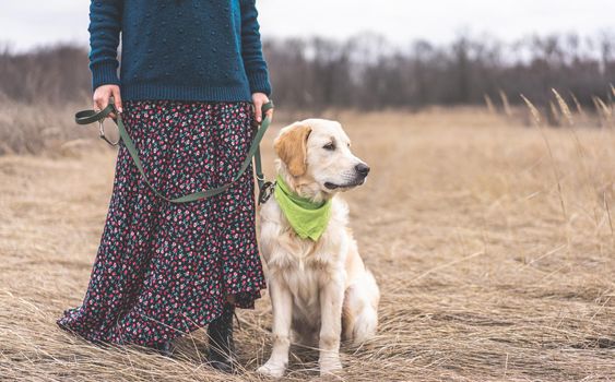 Adorable young dog next to female legs in skirt