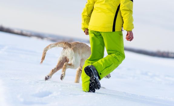 Female legs and dogs paws running in sparkling snow