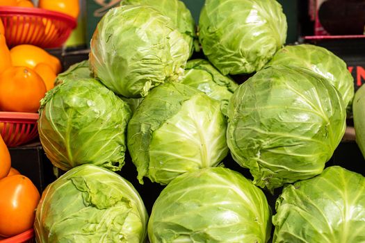 View over fresh organic cabbages put in a heap in sunlight at the counter at the market. Crop view of red tomatoes in baskets next to the cabbages.