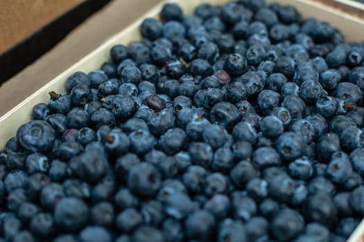 Top view of ripe and juicy fresh picked blueberries lying in the boxes and ready for sale. Fresh fruits concept