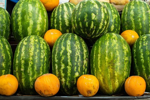 Close up of group of fresh green watermelons and yellow sweet melons ready for sale in organic farm. Fresh fruits concept