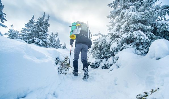 Tourist with equipment climbing snowy mountain in winter