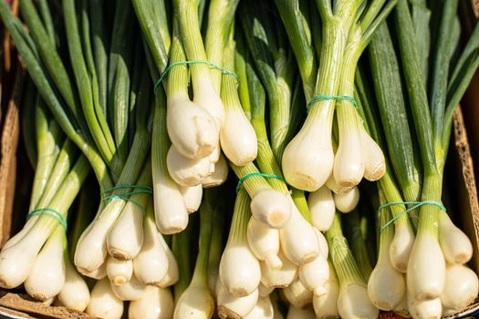 Healthy food for vegetarians, a lot of green onions for salads is in a box for sale