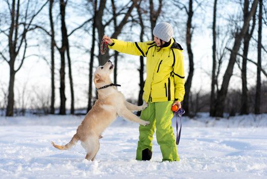 Active young retriever dog playing with happy woman outside in winter