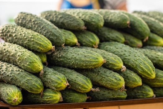 Picture with a lot of green cucumbers lie on top of each other in the shape of a pyramid in the market.