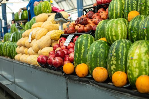 Lots of large green watermelons standing next to oranges and other fruits on the supermarket shelf.