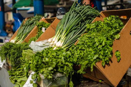 Stall with fresh and organic spring onion, bunches of parsley and dill in the sunlight of the outdoor market.