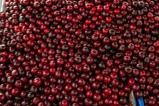 Close up of large collection of fresh red cherries. Ripe cherries background