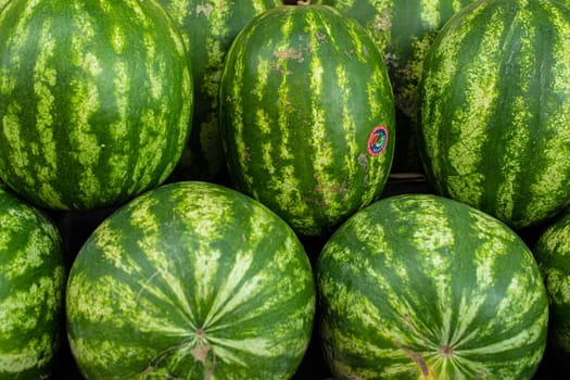 Close-up of bunch of several watermelons in a row on the counter.