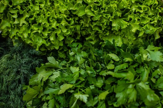 Useful food for vegetarians, a lot of green grass for salads is in a box for sale