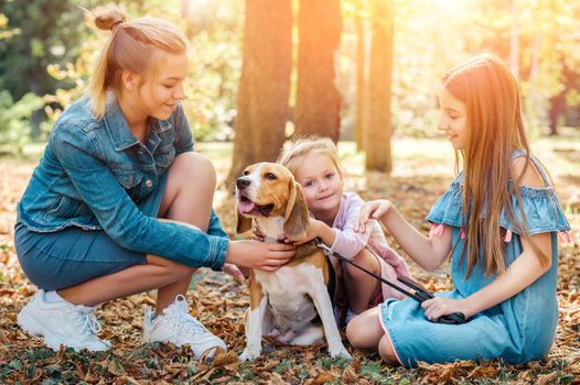 Young sisters playing with beagle dog in park