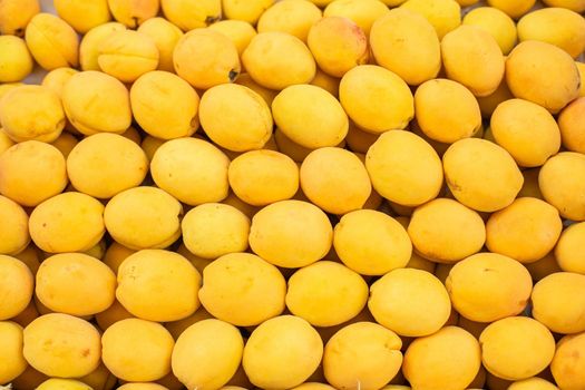 Close-up of many fresh juicy yellow apricots arranged in the supermarket or market in the summer. Seasonal fruit.