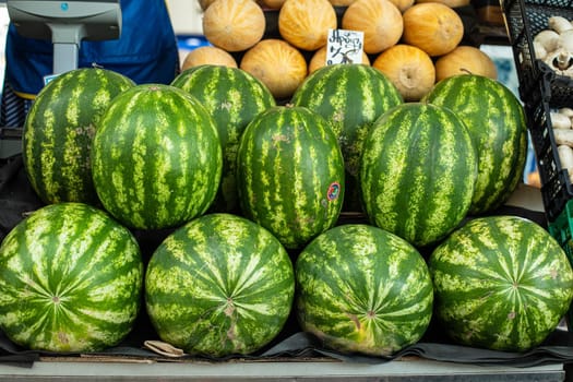 Close up of group of fresh green watermelons and yellow sweet melons ready for sale in organic farm. Fresh fruits concept