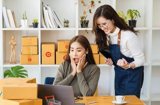 Sell products to online business owners. Two women showing joy in online sales exceeded expectations