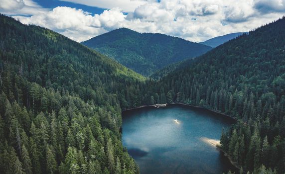 Lake Synevir framed by pine wood in Carpathian Mountains