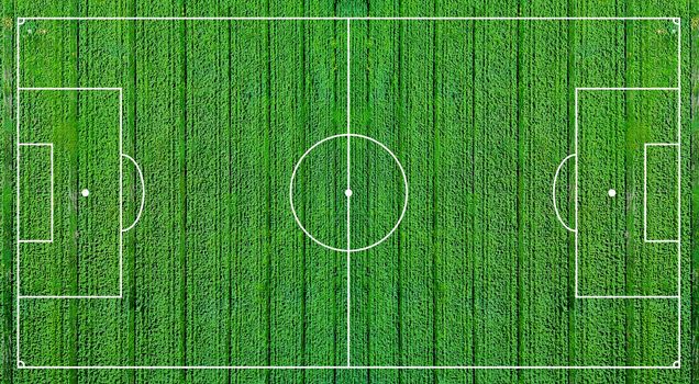 Green football field. Soccer field illustration pattern. Light green grass realistic background top view.