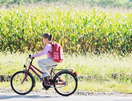 schoolgirl traveling to school on bicycle at early morning on beautiful nature