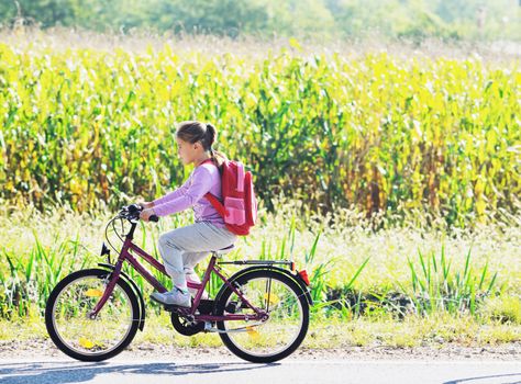 schoolgirl traveling to school on bicycle at early morning on beautiful nature