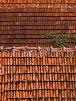 Old roof tiles background