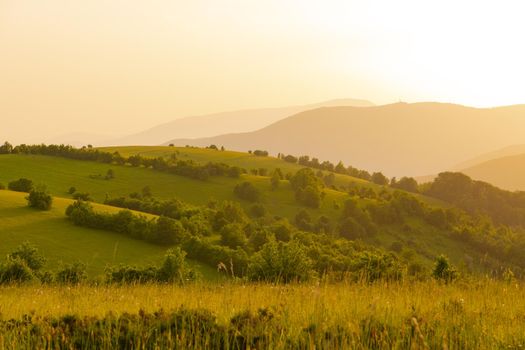 landscape of  summer nature in sunset in mountains and hills on countryside abstract lines and curves background