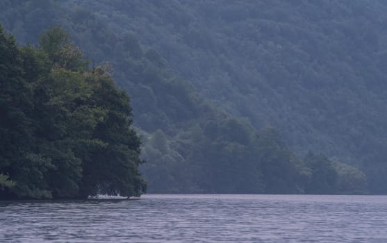 Nature conceptual image. Evening on the lake at beautiful summer nature