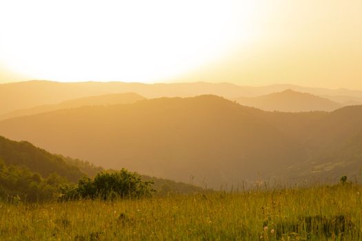 landscape of  summer nature in sunset in mountains and hills on countryside abstract lines and curves background