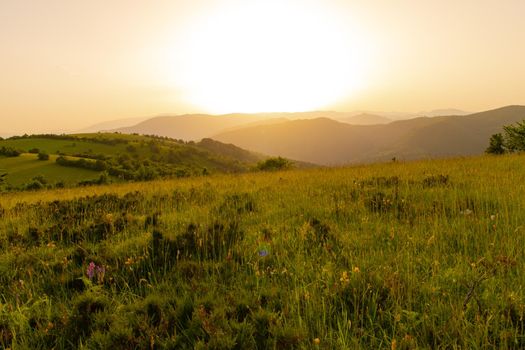 landscape of  summer nature in sunset in mountains and hills on countryside abstract lines and curves background