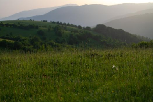 landscape of  summer nature in sunset in mountains and hills on countryside abstract lines and curves background