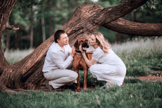 husband and wife kissing their beloved pet while walking. good time