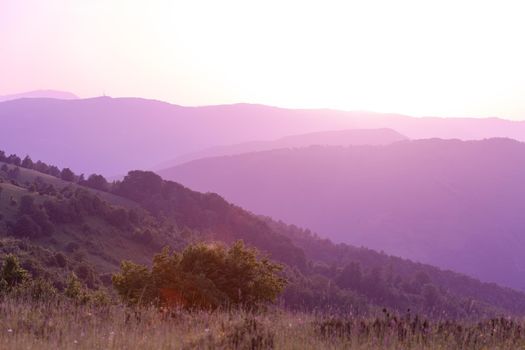 ultra violet purple summer landscape  nature in sunset in mountains and hills on countryside abstract lines and curves background